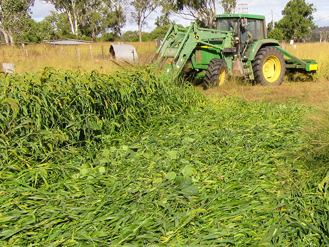 Auscrimper roller/crimper in action